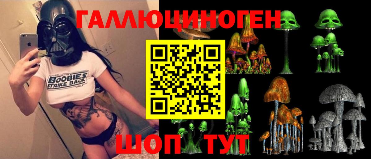 Псилоцибиновые грибы Psilocybine cubensis Реж